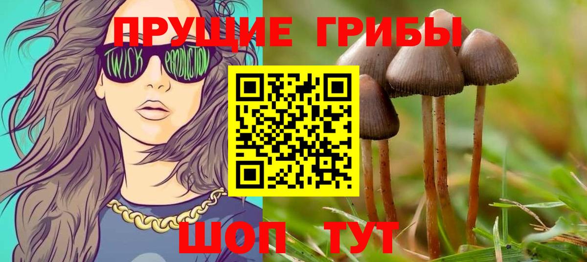 Галлюциногенные грибы MAGIC MUSHROOMS Артёмовский