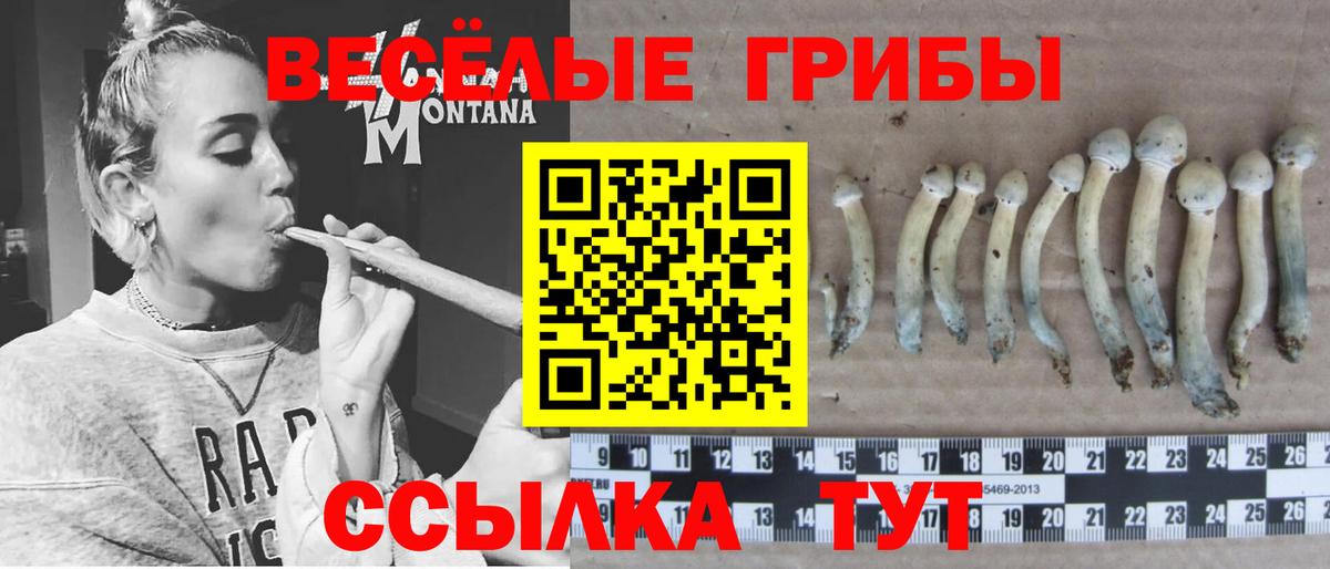 Псилоцибиновые грибы GOLDEN TEACHER  Вход с VPN  Артёмовский 