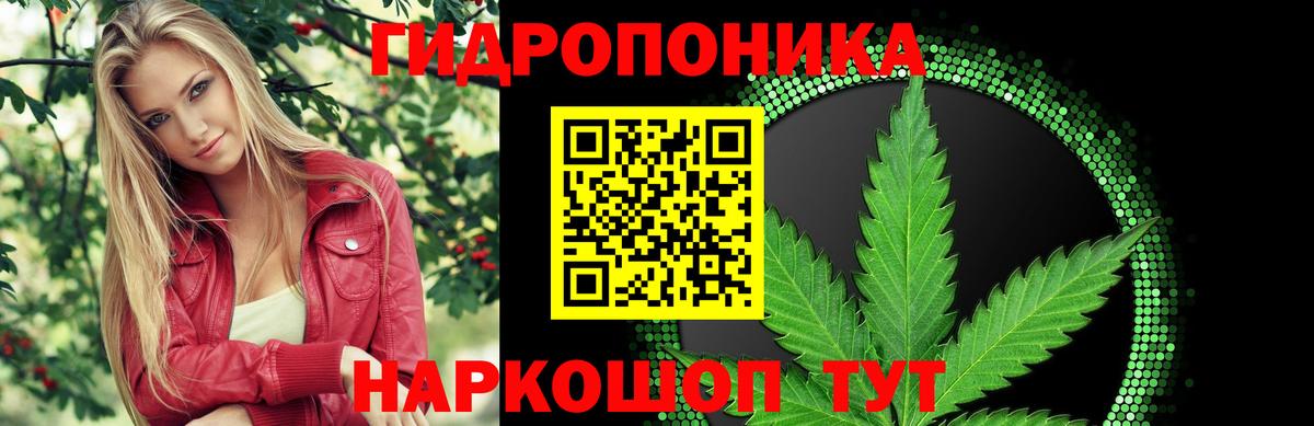Канабис сатива  Вход с VPN  Артёмовский  Бошки марихуана марихуана  Бошки Шишки индика 